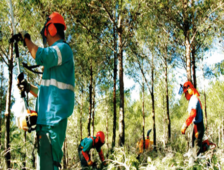 Busquem un tècnic/a d'acompanyament pel Programa Treball i Formació i per altres programes de l'àrea de Promoció Econòmica.